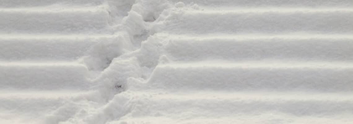 snowy steps