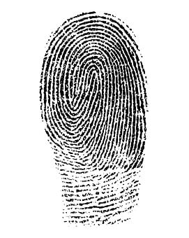 fingerprint 1382652 340